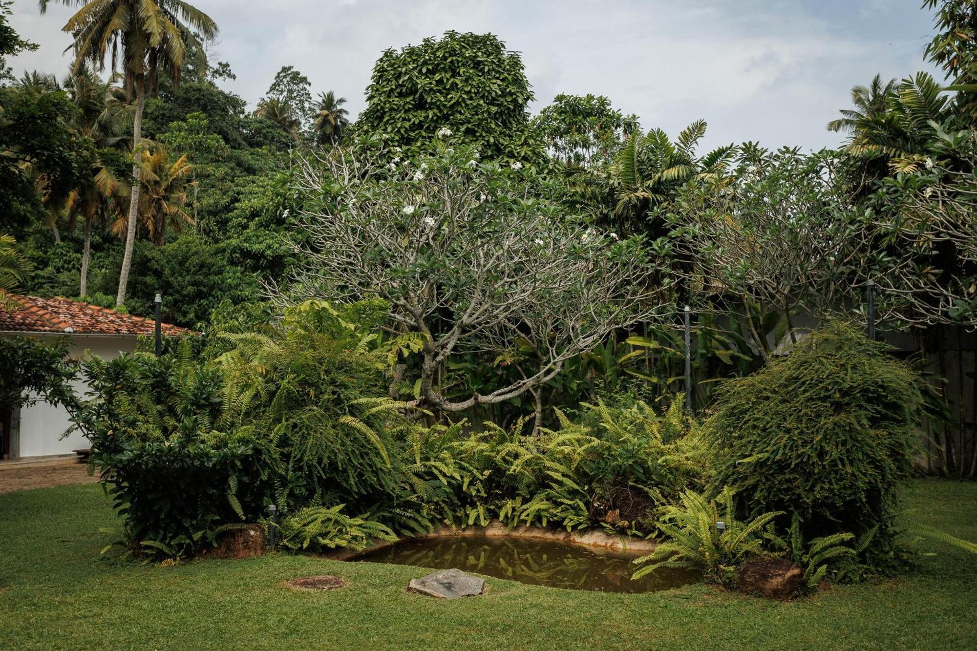 Villa White Queen Galle Exterior photo