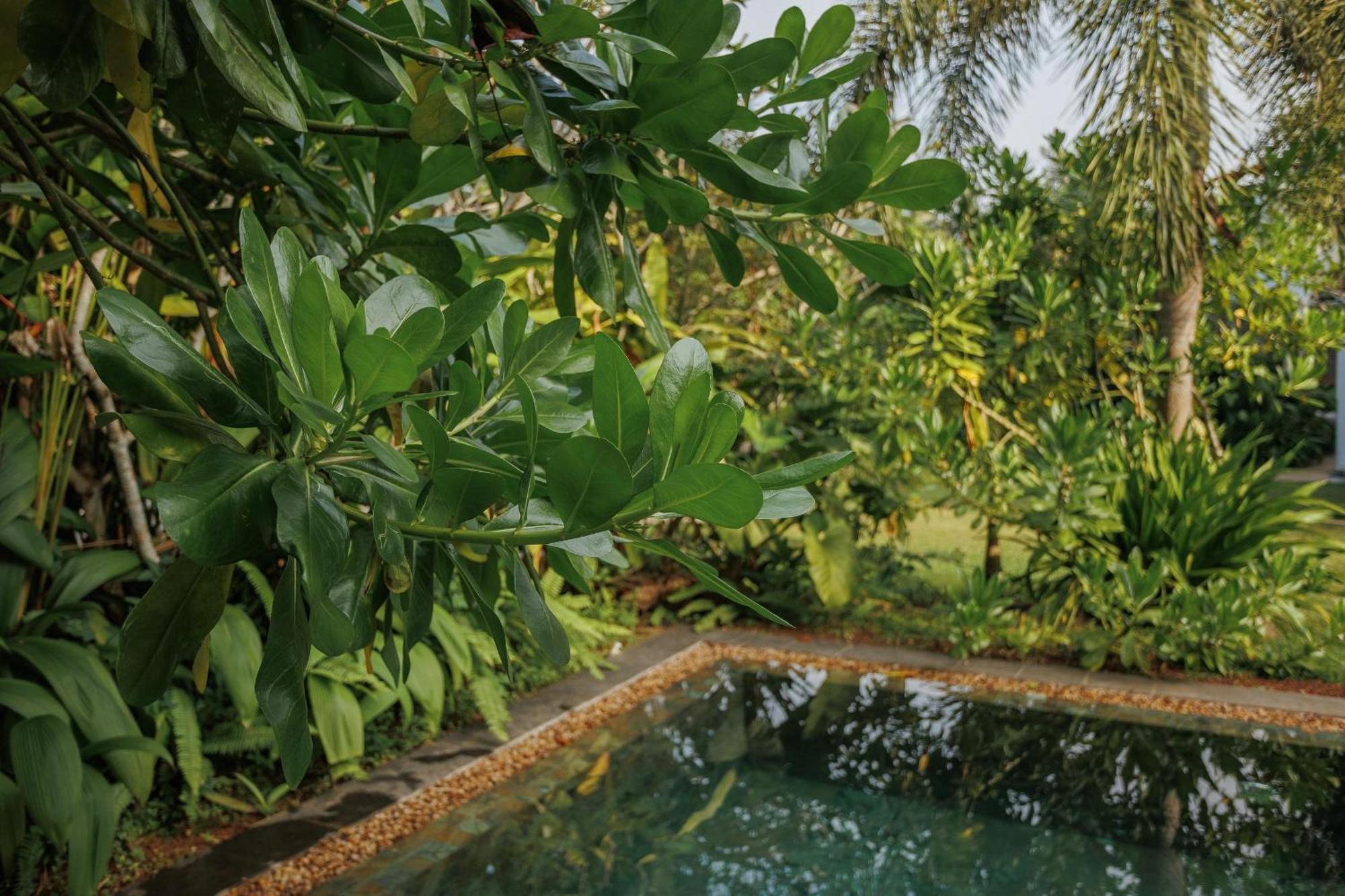 Villa White Queen Galle Exterior photo