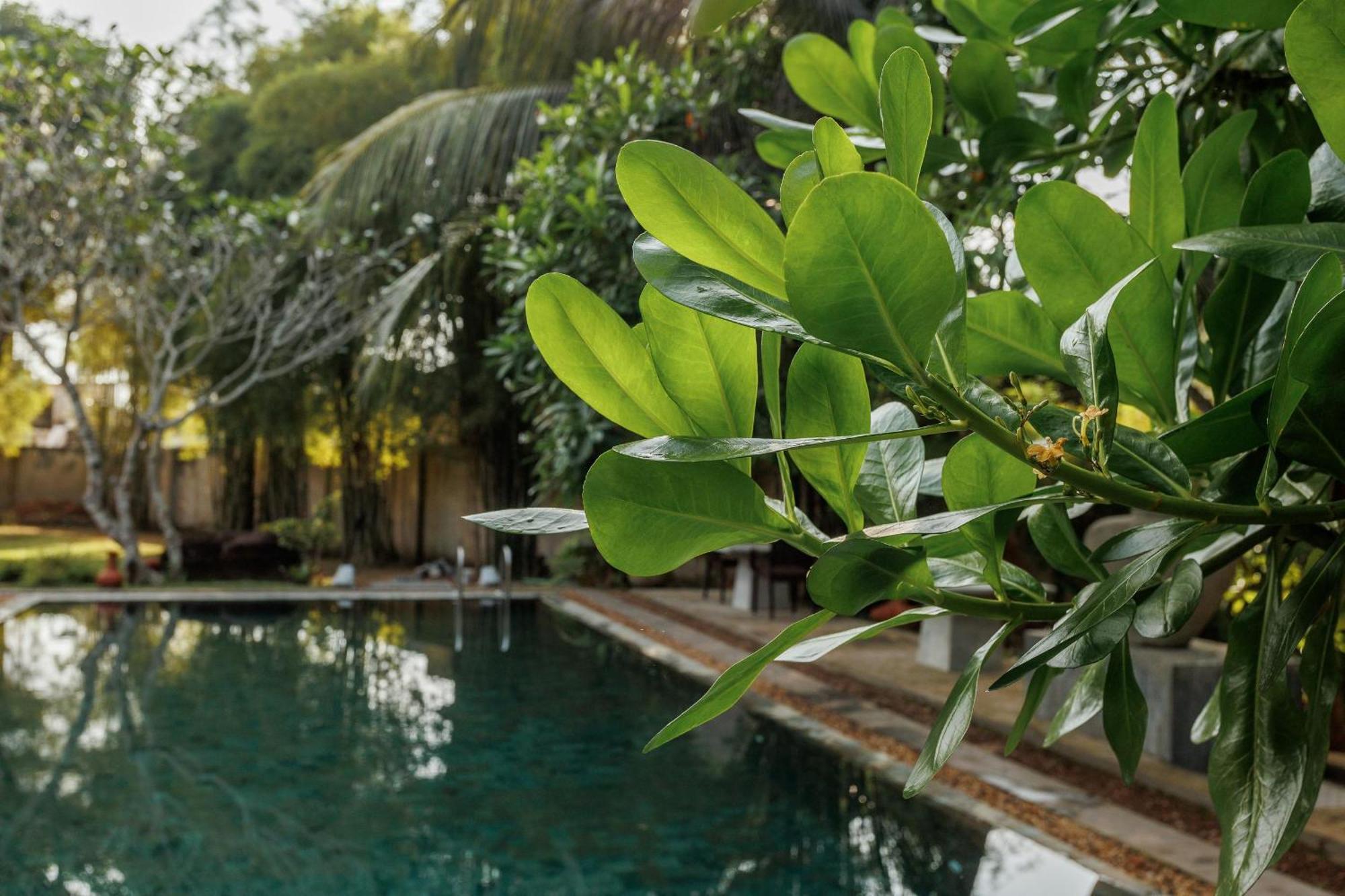 Villa White Queen Galle Exterior photo